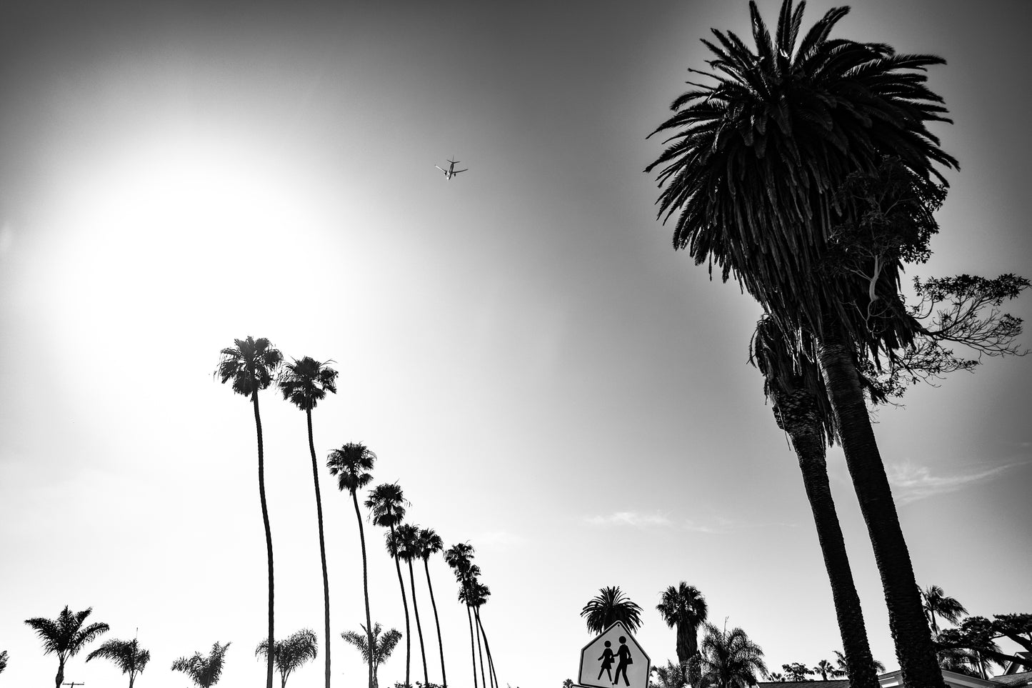 California Dreaming
