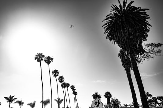 California Dreaming